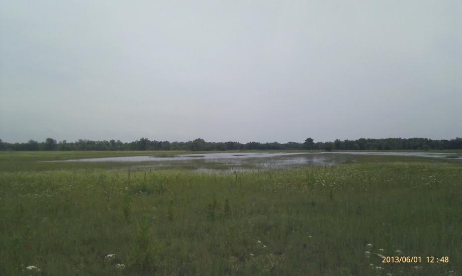 Літки з panoramio.com - Летки