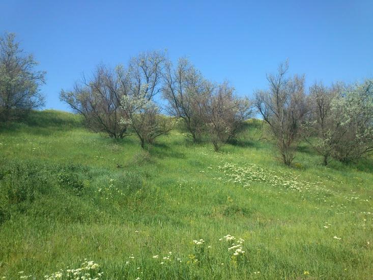Орджонікідзе з panoramio.com - Орджоникидзе