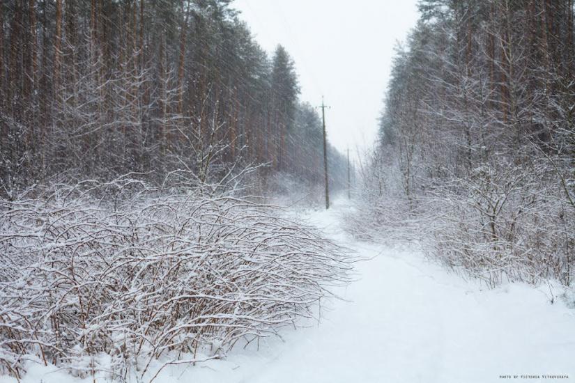 Великий Карашин з panoramio.com - Великий Карашин