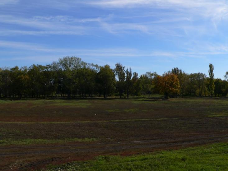 Панютине з panoramio.com - Панютине