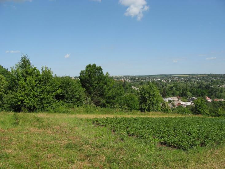 Вільшани з panoramio.com - Вільшани
