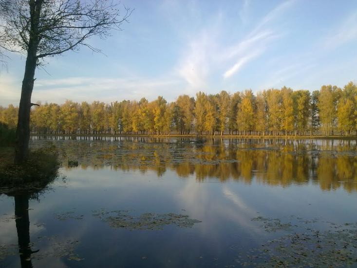 Остап'є з panoramio.com - Остапье