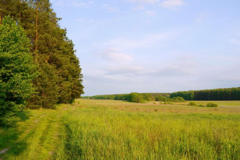 Великий Карашин з panoramio.com - Великий Карашин