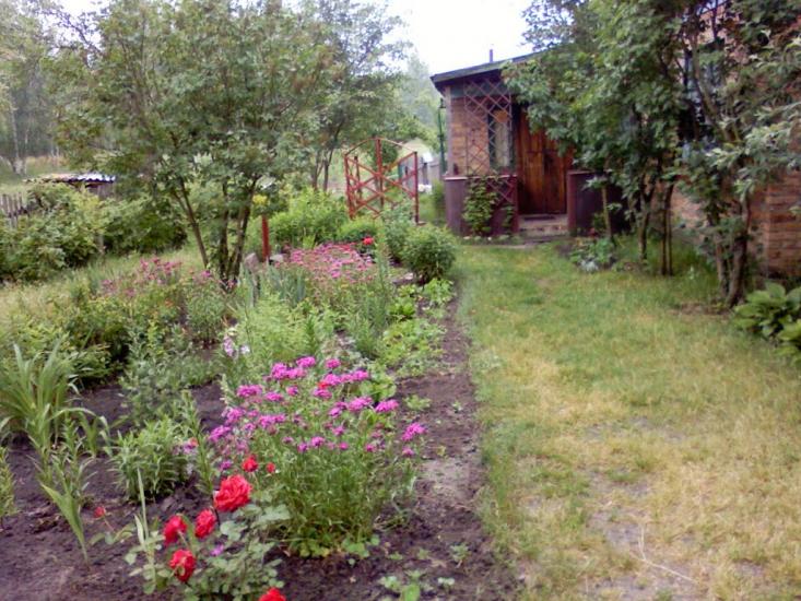 Радинка з panoramio.com - Радинка