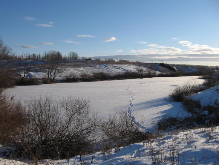 Нова Семенівка з panoramio.com - Нова Семенівка