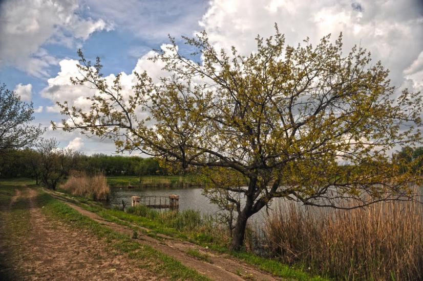 Піски з panoramio.com - Пески