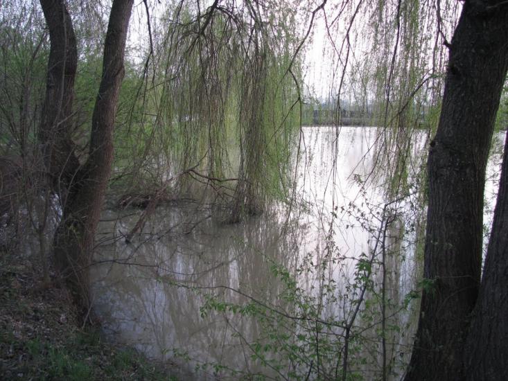 Середнє з panoramio.com - Середнє