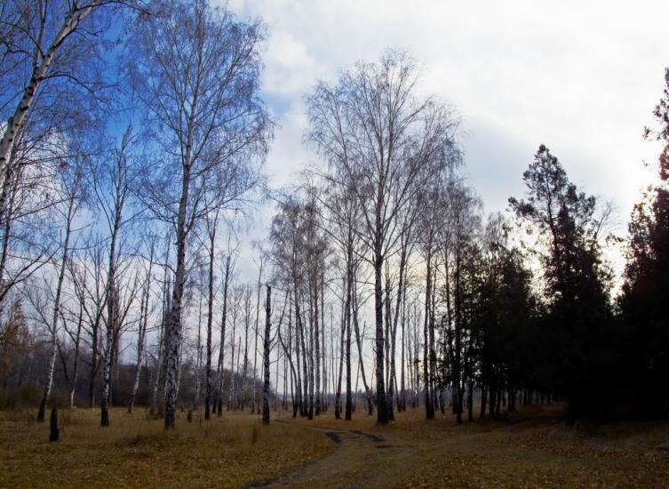 Червоні Поди з panoramio.com - Червоные Поды