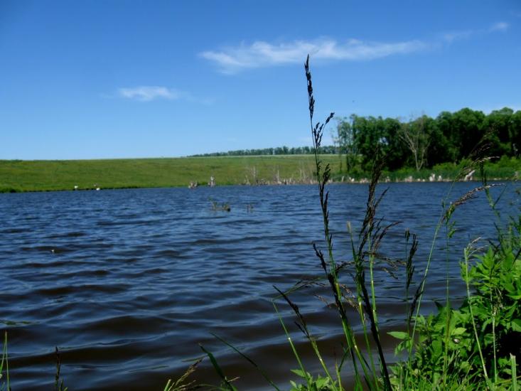 Стрілеча з panoramio.com - Стрілеча