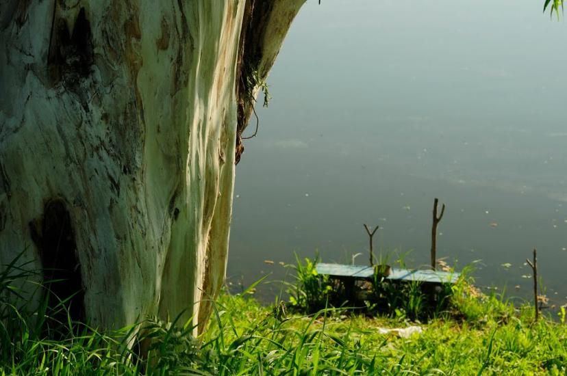Солгутове з panoramio.com - Солгутово