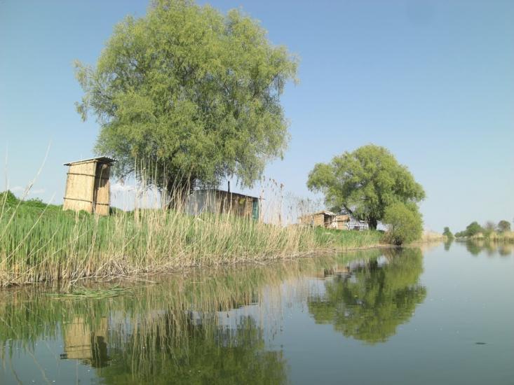 Стара Некрасівка з panoramio.com - Стара Некрасівка