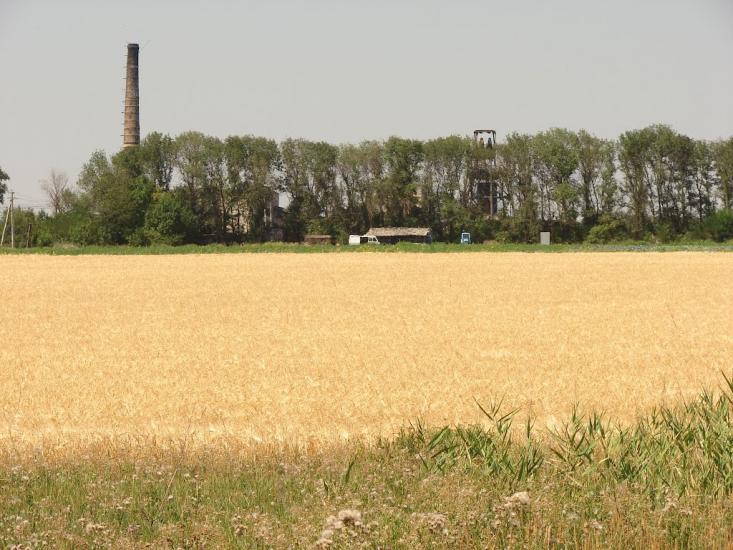 Білицьке з panoramio.com - Белицкое