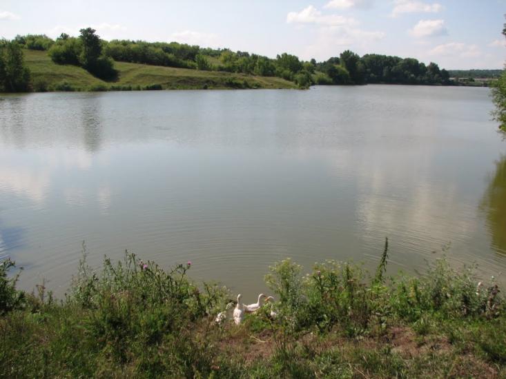 Ладижинка з panoramio.com - Ладижинка