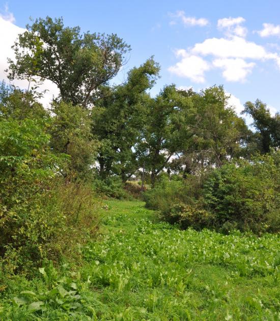 Воскодави з panoramio.com - Воскодави