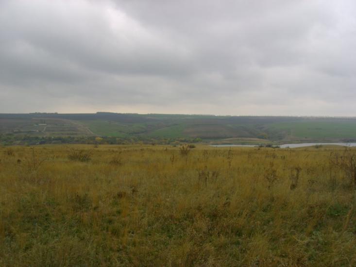 Новопетрівське з panoramio.com - Новопетровское