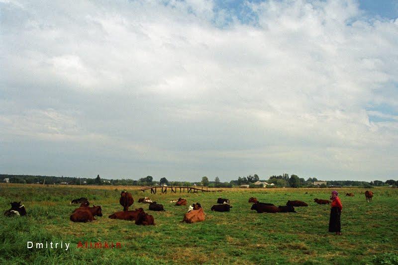 Прелесне з panoramio.com - Прелестное