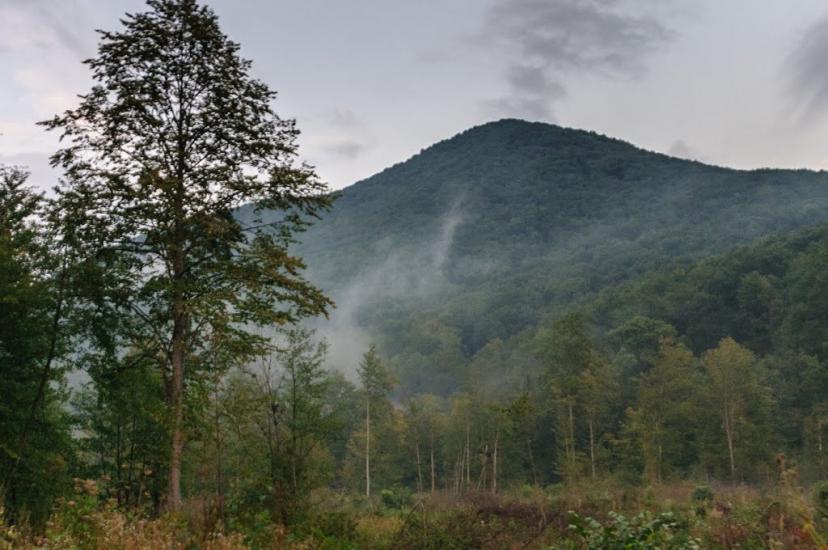 Чорноголова з panoramio.com - Черноголова