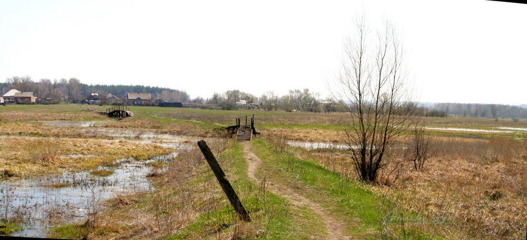 Прелесне з panoramio.com - Прелестное