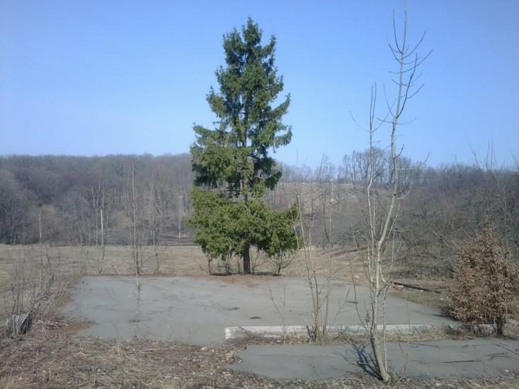 Грушківка з panoramio.com - Грушковка