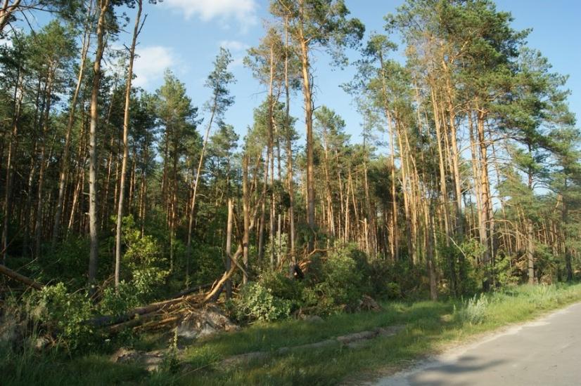 Велика Любаша з panoramio.com - Велика Любаша