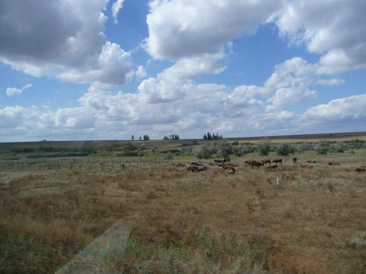 Мала Тернівка з panoramio.com - Mala Ternivka