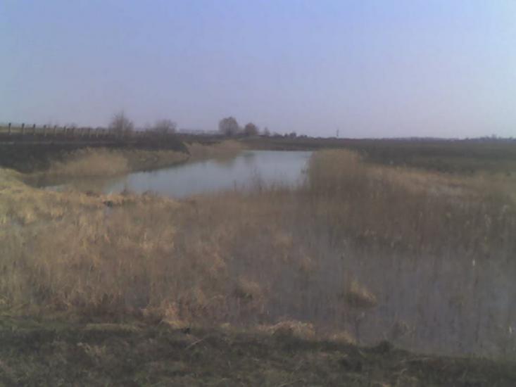 Велика Омеляна з panoramio.com - Великая Омеляна