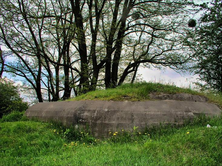 Білогородка з panoramio.com - Білогородка