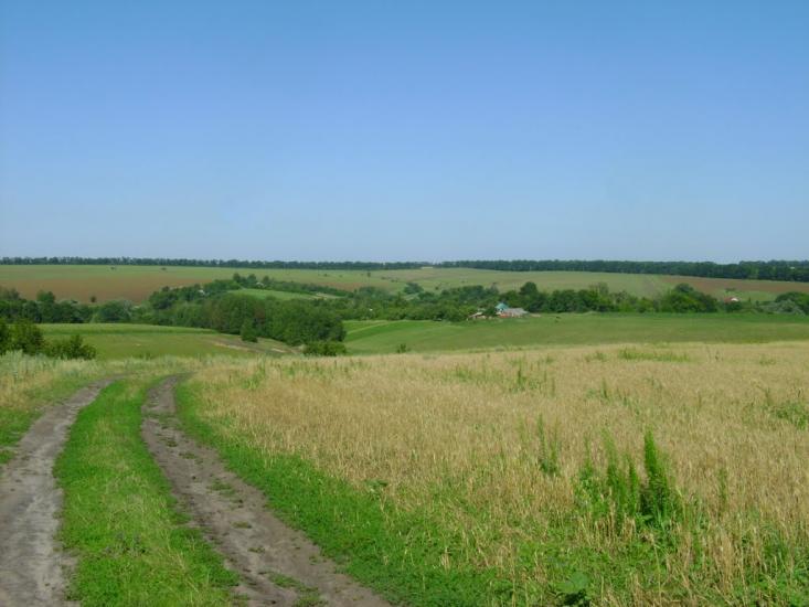 Цапівка з panoramio.com - Цапівка