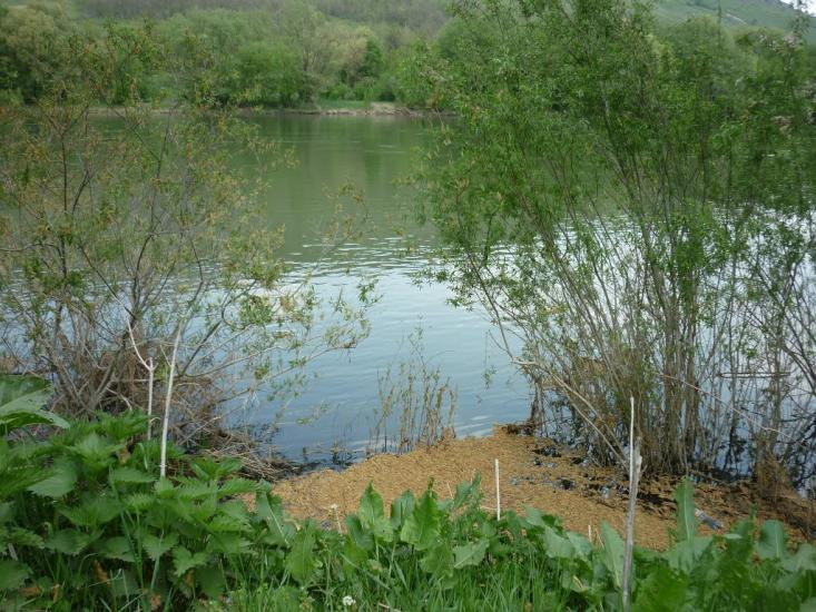 Бронниця з panoramio.com - Бронниця