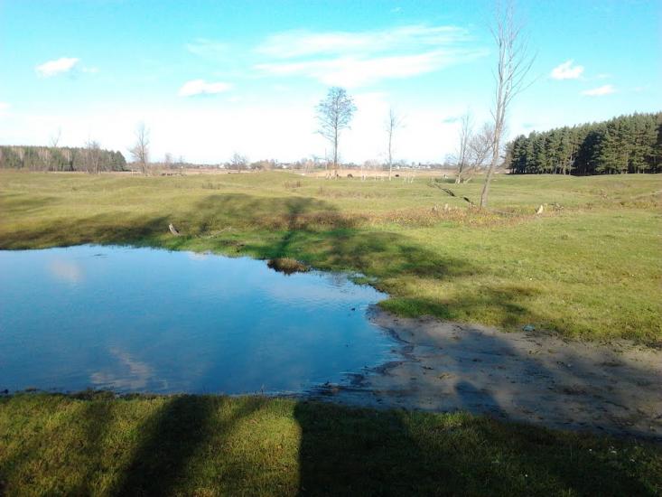 Крилівка з panoramio.com - Крилівка