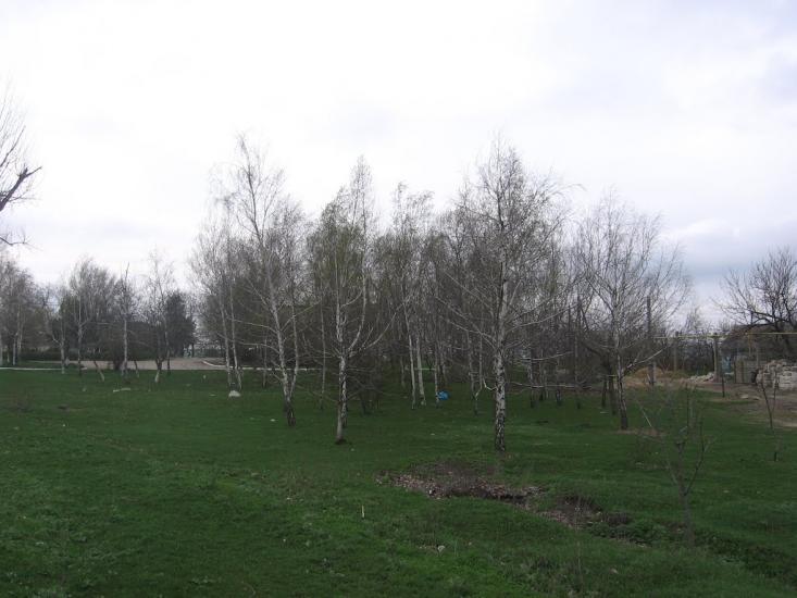 Новоолександрівка з panoramio.com - Новоолександрівка