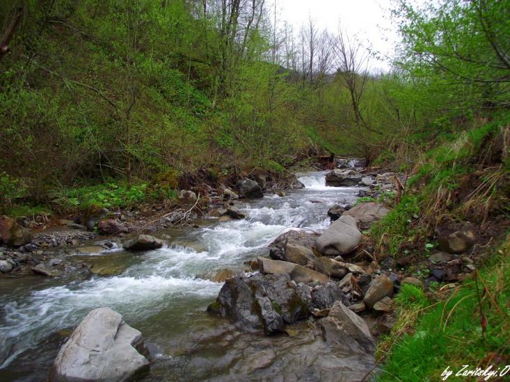 Кваси з panoramio.com - Квасы