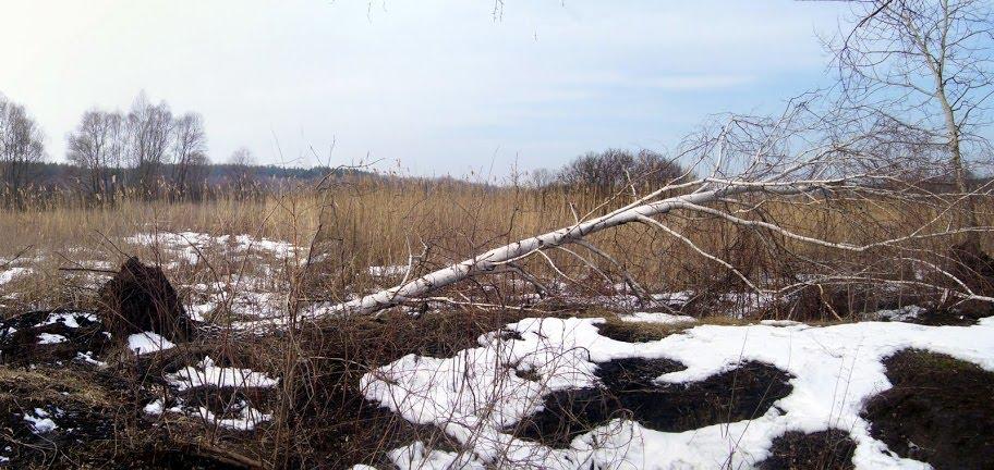 Вільхуватка з panoramio.com - Вільхуватка