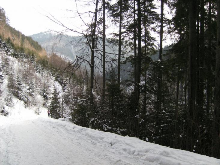 Синевир з panoramio.com - Синевир