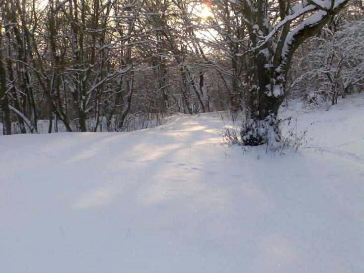 Блищанівка з panoramio.com - Блещановка