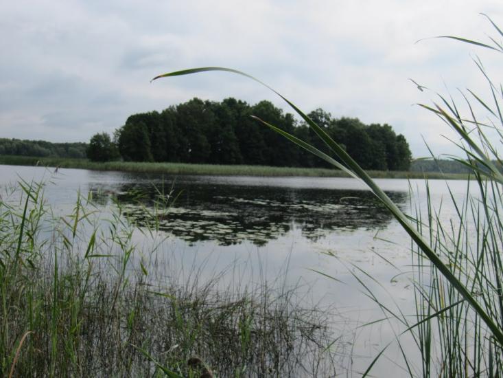 Мельники з panoramio.com - Мельники