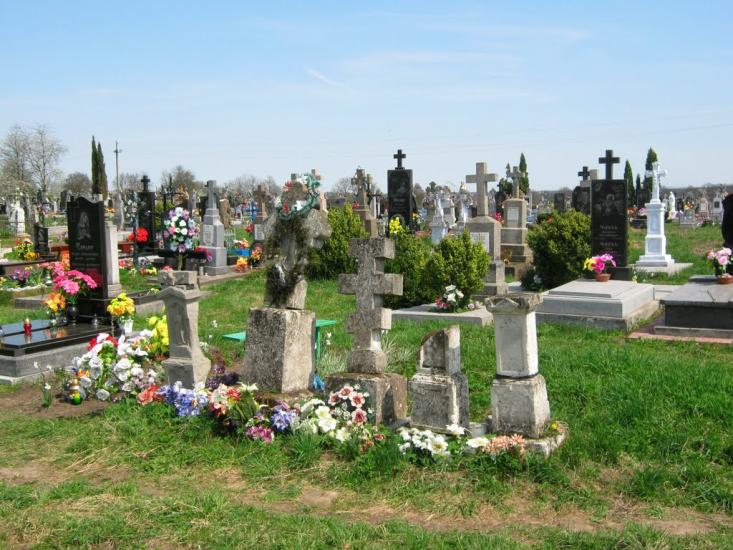 Новосілки з panoramio.com - Новоселки