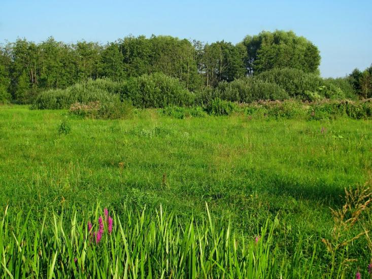 Кустин з panoramio.com - Кустин