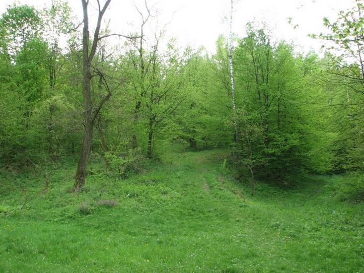 Ступно з panoramio.com - Ступно