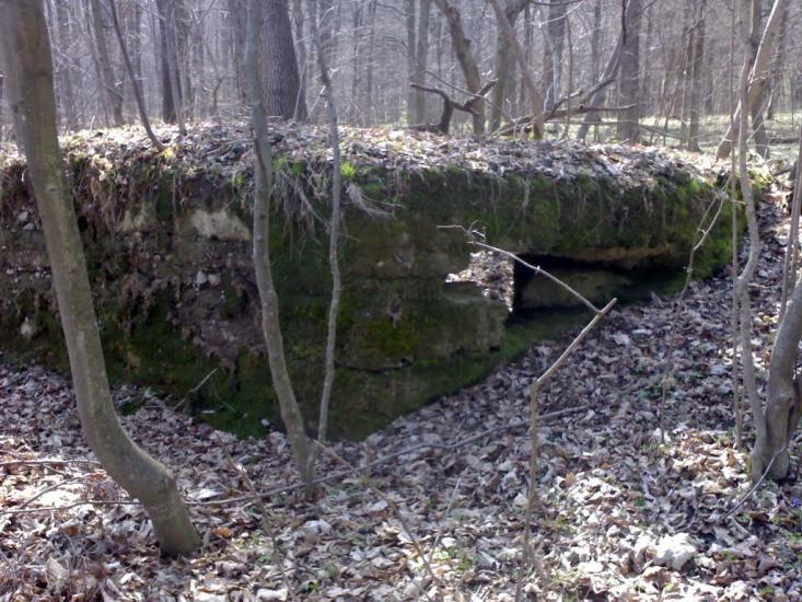 Шутроминці з panoramio.com - Шутроминцы