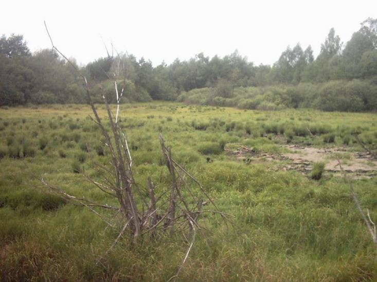 Римачі з panoramio.com - Рымачи