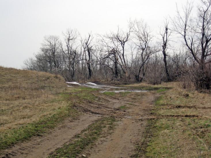 Тамара з panoramio.com - Тамара