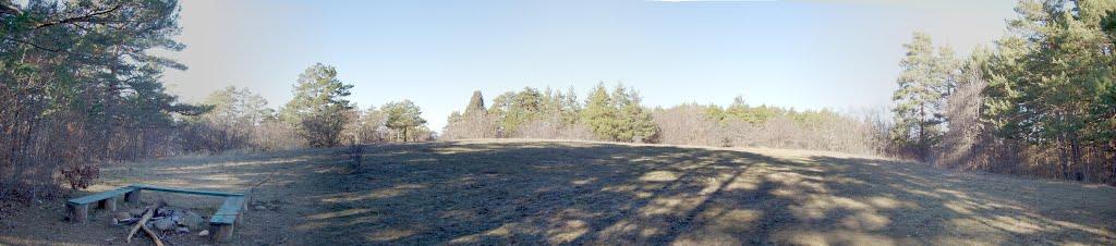 Щасливе з panoramio.com - Schaslyve
