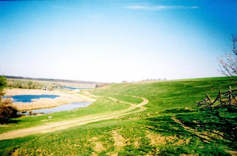 Мартинівка з panoramio.com - Мартинівка