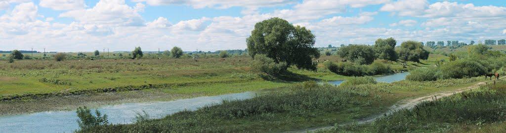 Воскодави з panoramio.com - Воскодави