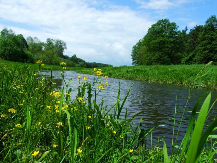 Бахів з panoramio.com - Бахів