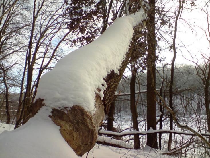 Кардашівка з panoramio.com - Кардашовка