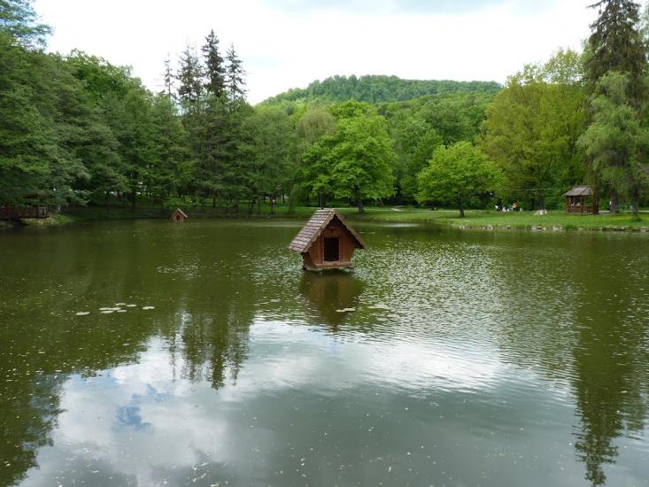 Карпати з panoramio.com - Карпаты