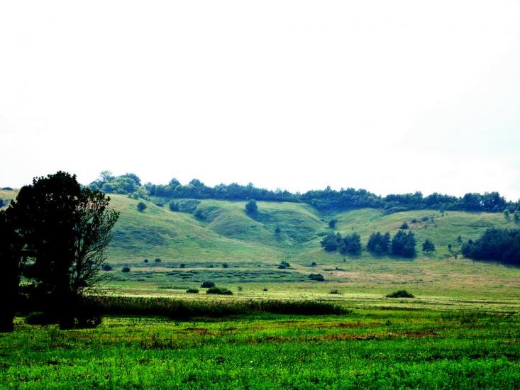 Стрілеча з panoramio.com - Стрілеча