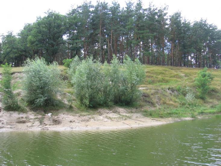 Покотилівка з panoramio.com - Покотилівка